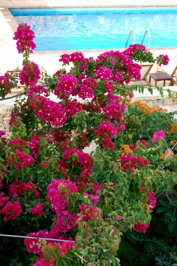 Aeolos Hotel Куфонисия Экстерьер фото
